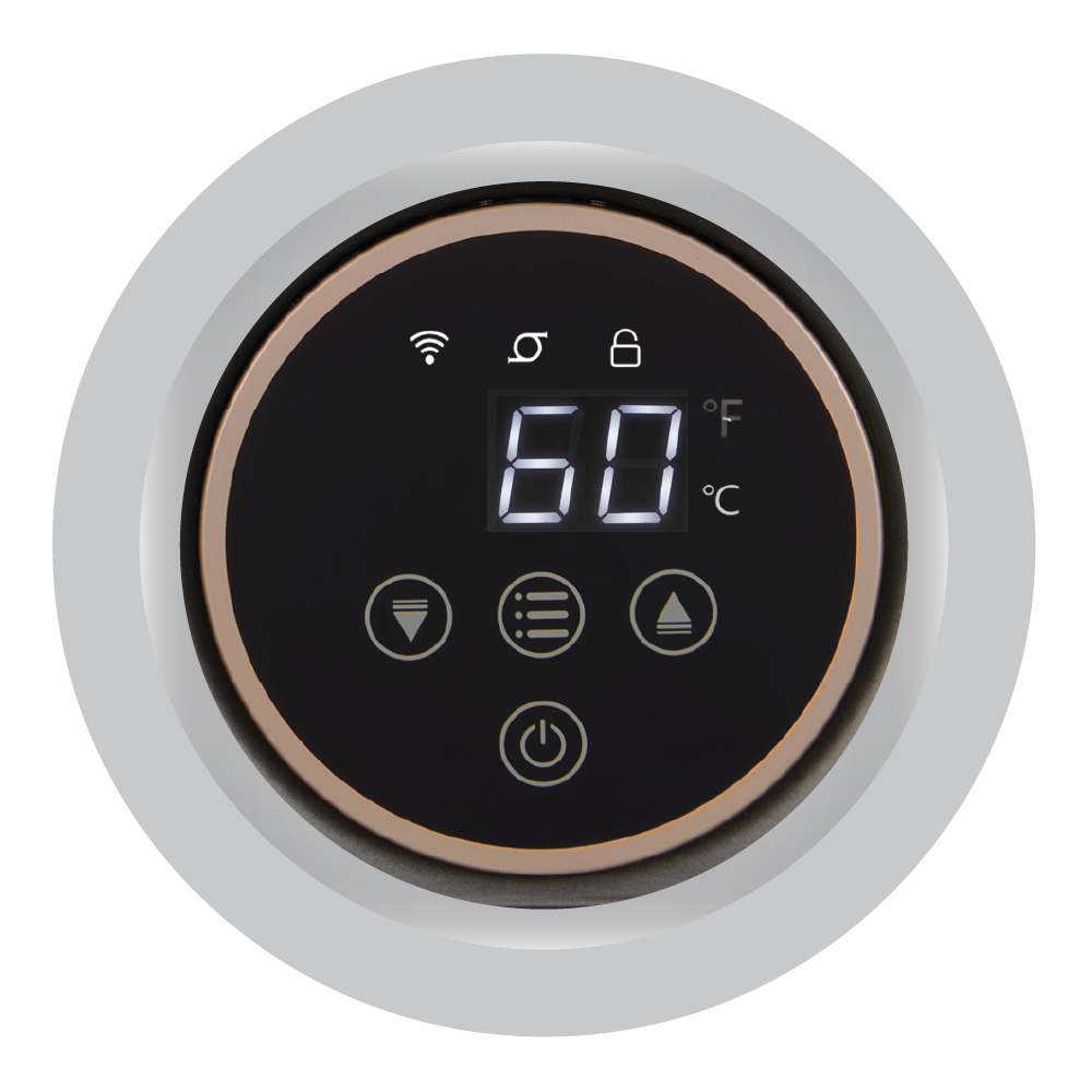 Digital Temperature Display.png